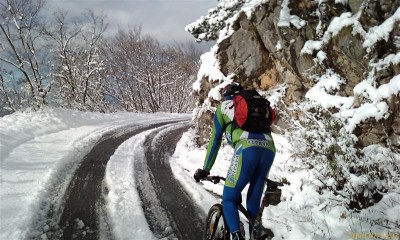 201011271132_102.jpg