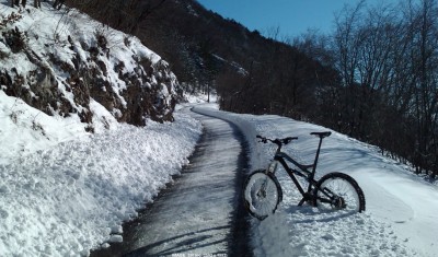 Zajeta slika.JPG